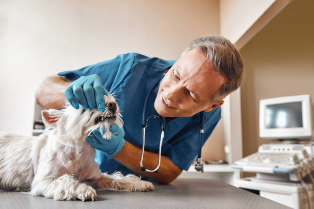 Best 24-Hour Emergency Dentist in Sharon, MS